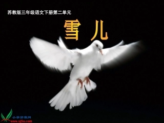 三年级下册《雪儿》公开课课件
