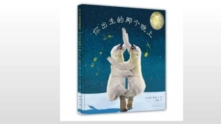 绘本你出生的那个晚上PPT
