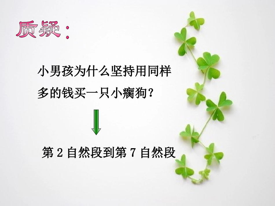 买小狗的小孩_第3页