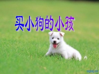 买小狗的小孩