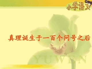 真理诞生于一百个问号之后