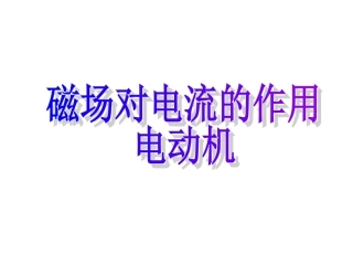 磁场对电流的作用