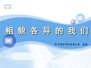 相貌各异的我们