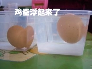 作文：鸡蛋浮起来了