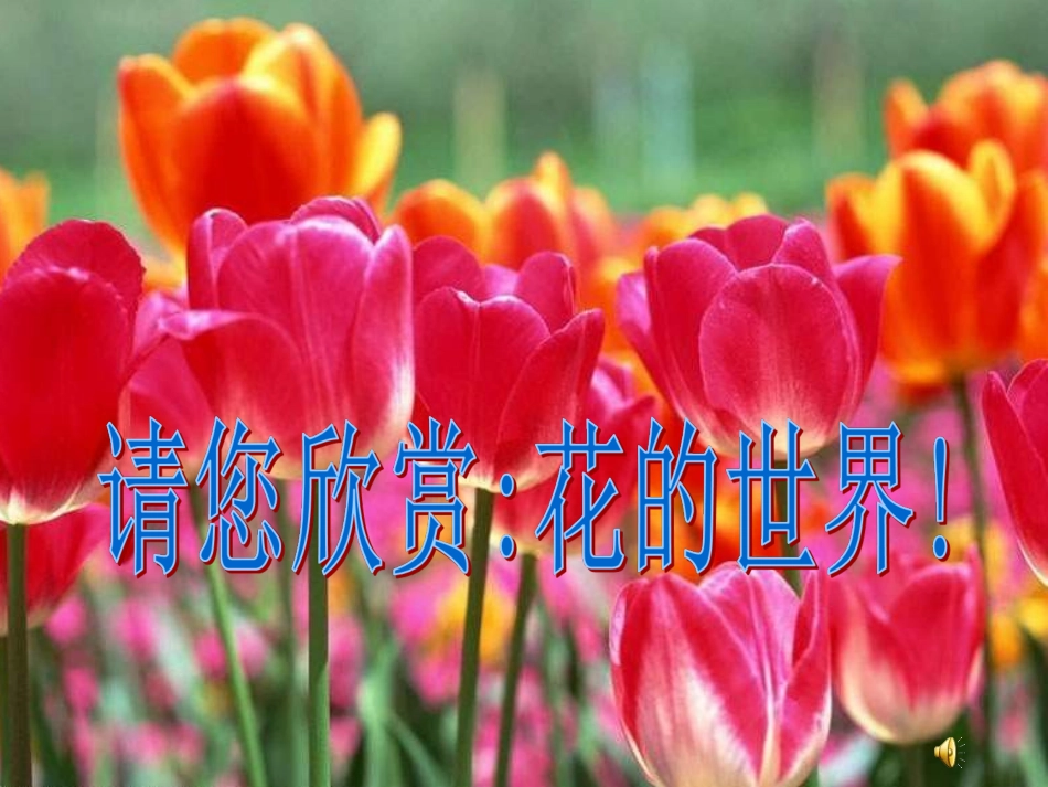 《紫藤萝瀑布》参考课件_第1页