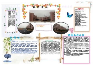 我的学校张莹莹