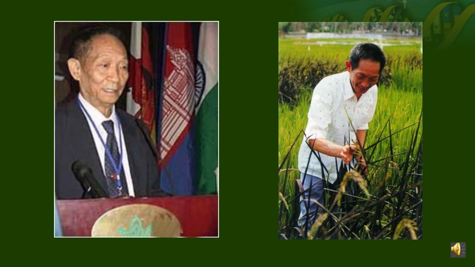 人工诱变育种_第2页