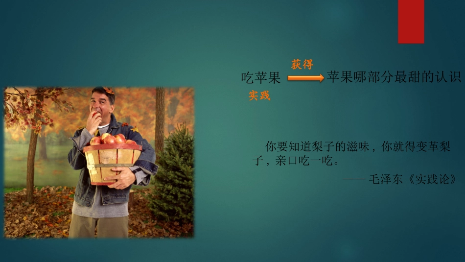 《人的认识从何而来》课件_第3页