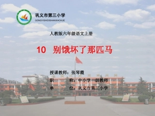 别饿坏了马匹马