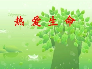 《语文园地五》课件