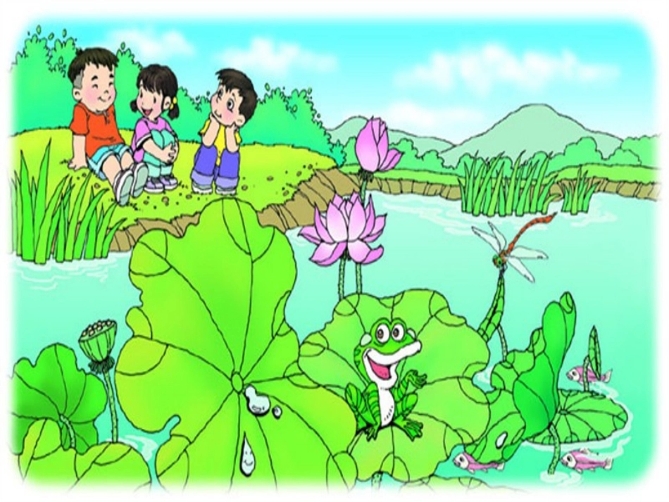 《荷叶圆圆》PPT_第1页