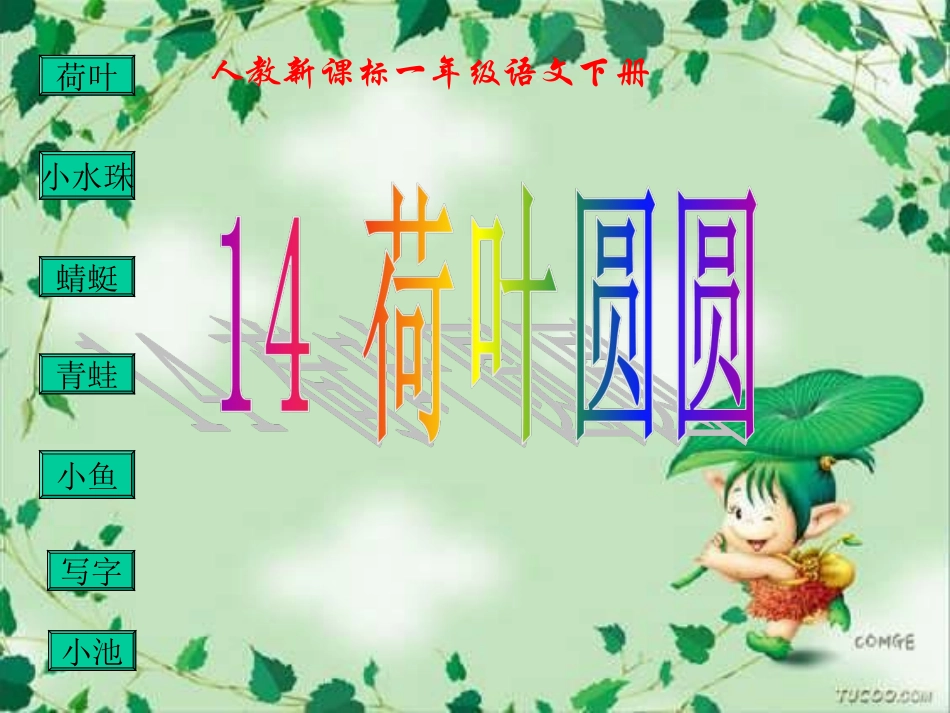 《荷叶圆圆》PPT_第2页