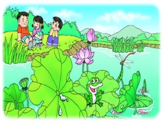 《荷叶圆圆》PPT