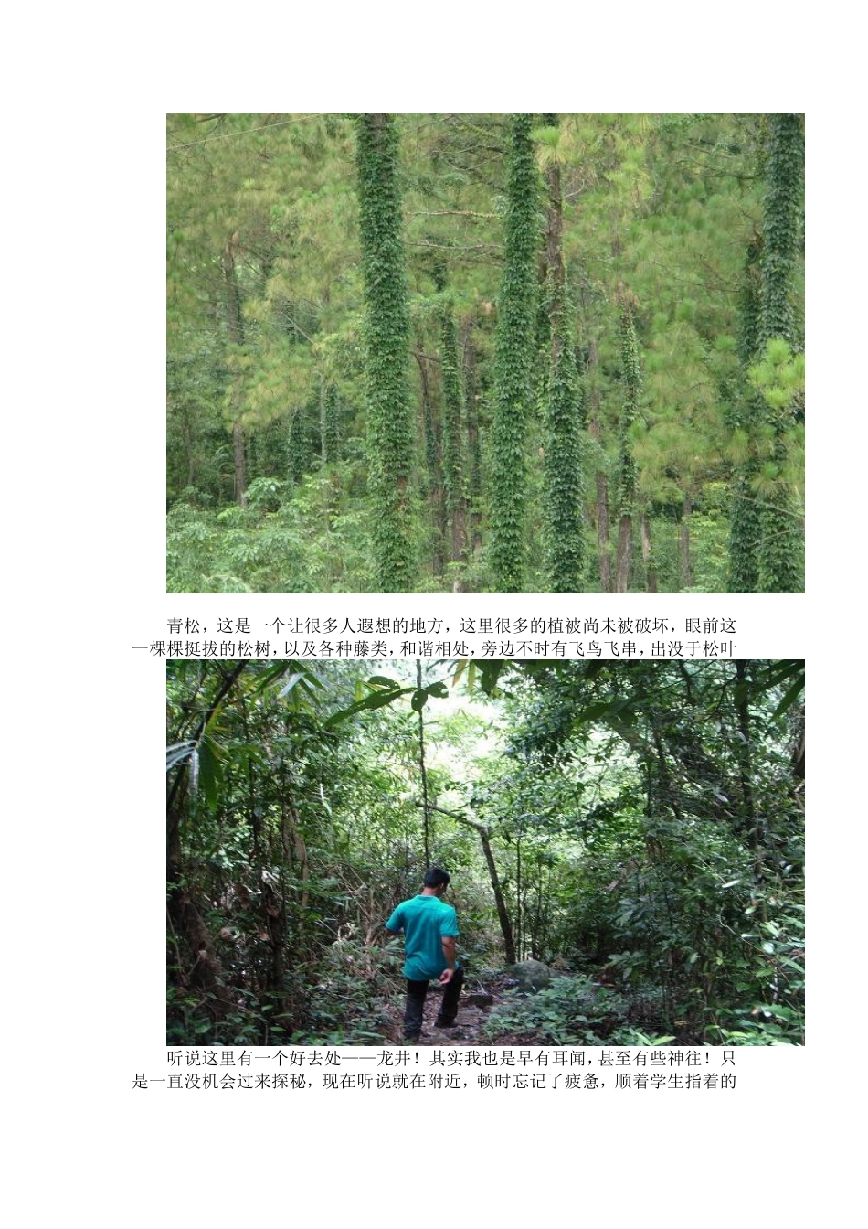 青松乡家访日记_第1页
