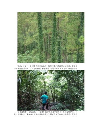 青松乡家访日记
