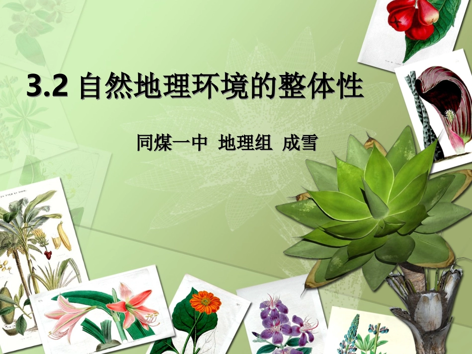 高中地理必修一第三章第二节自然地理环境的整体性_第1页