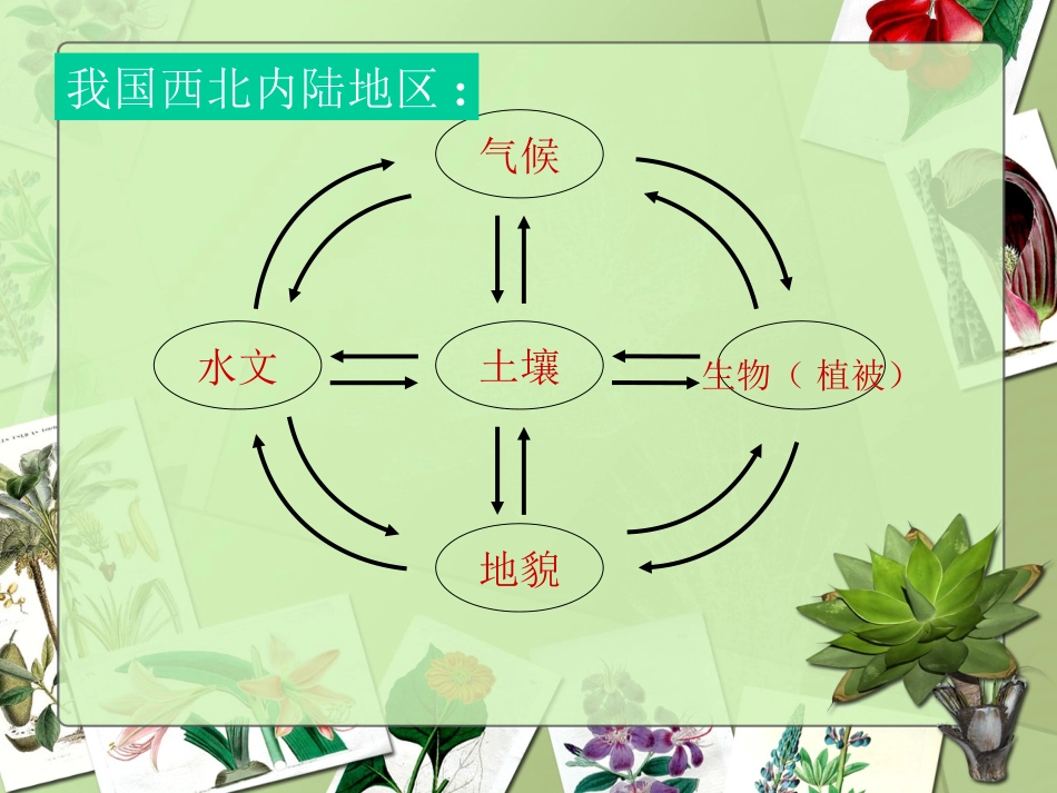 高中地理必修一第三章第二节自然地理环境的整体性_第3页