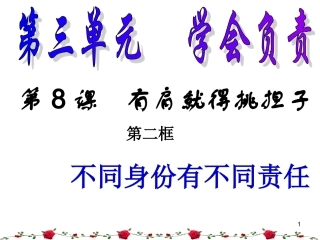 第二框《不同身份有不同责任》课件改(苏教版八年级上)