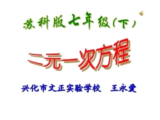 公开课二元一次方程