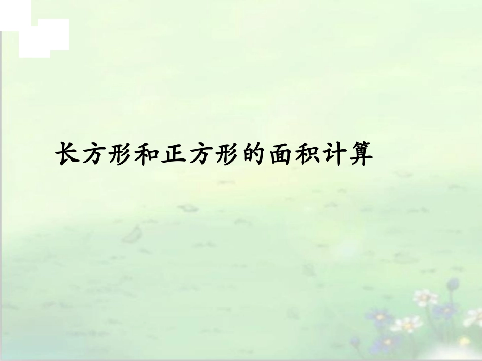 长方形和正方形面积复习PPT_第3页