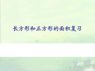 长方形和正方形面积复习PPT