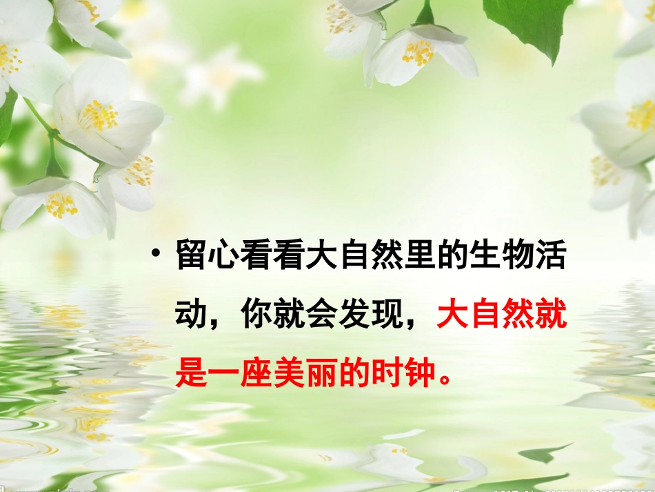（李燕）自然的时钟_第3页