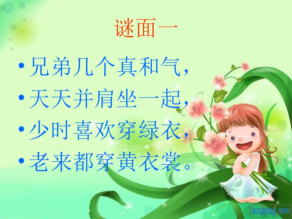 《水果谜语》_第3页