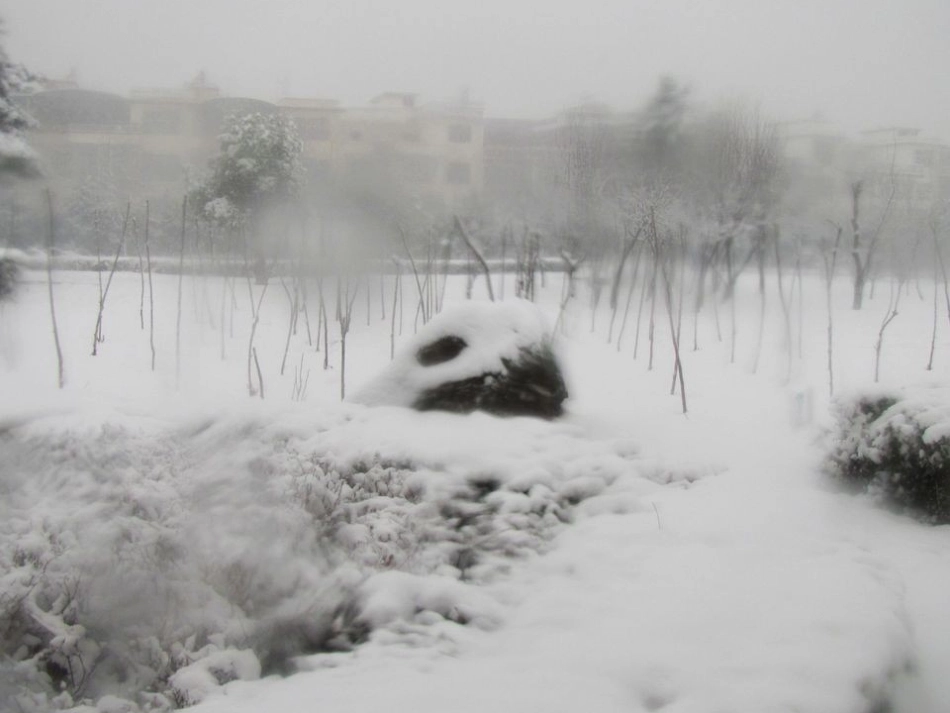 北师大版小学数学四上温度课件_第3页