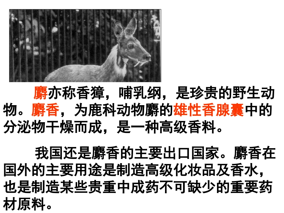 植物芳香油的提取制取-（上课用）_第3页