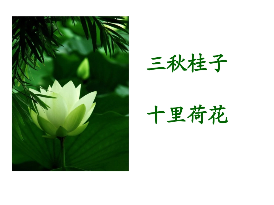 柳永《望海潮》精美实用课件_第2页