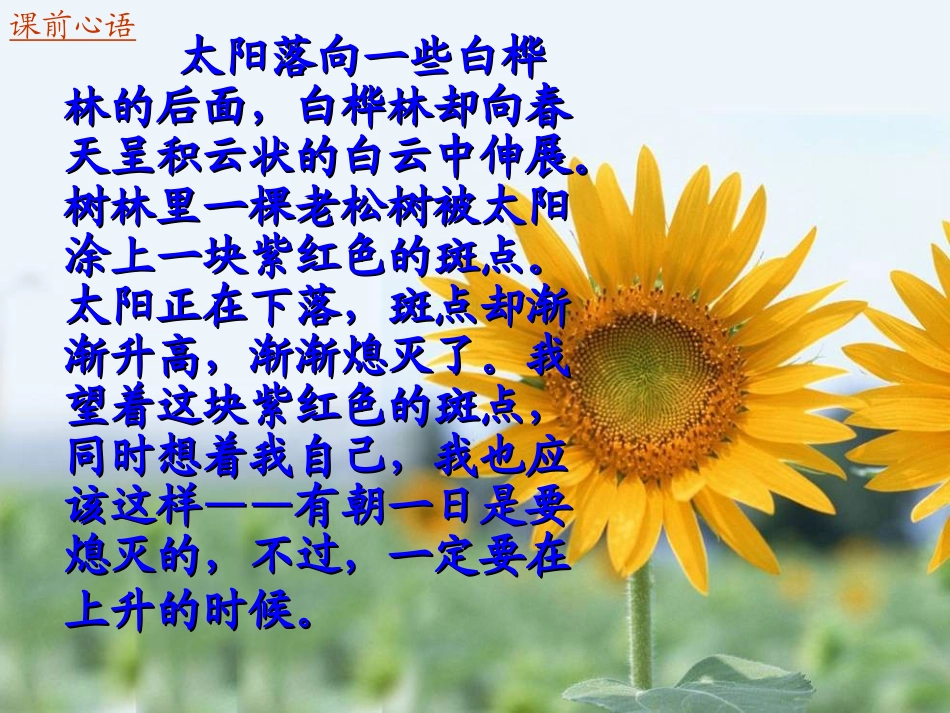 现代文论述类文本阅读解题技巧_第1页