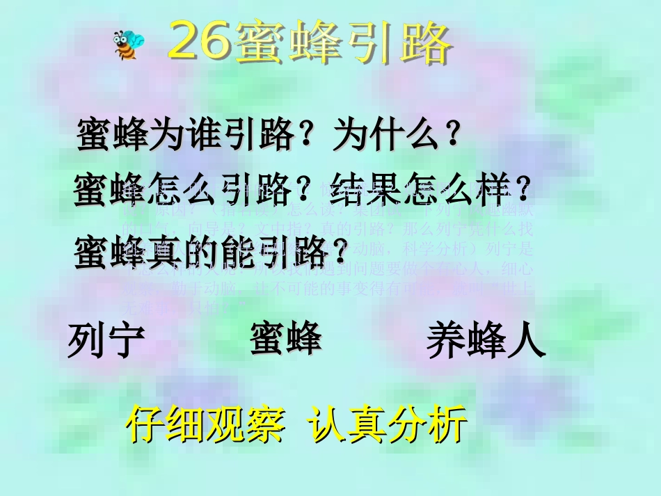 《蜜蜂引路》课件_第2页