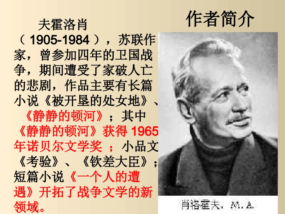 一个人的遭遇_课件_第2页