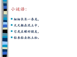 三年级上册科学蚯蚓课件