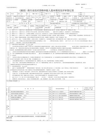 专业技术资格申报材料之一