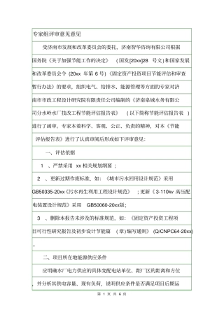 专家组评审意见意见