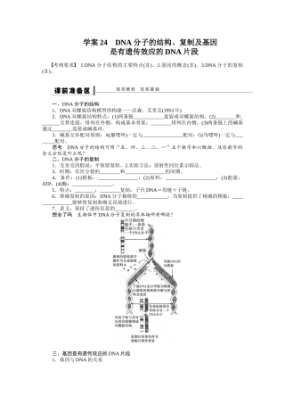 DNA分子的结构