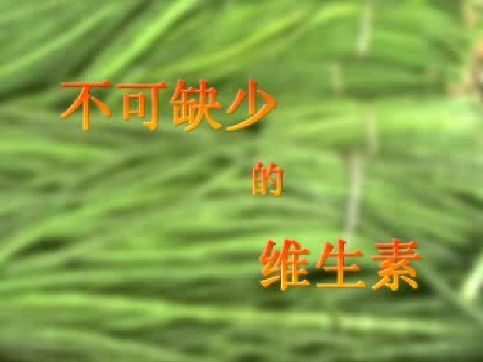 和蔬菜交朋友_第3页