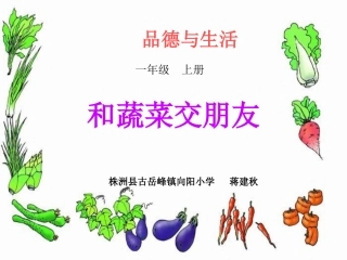 和蔬菜交朋友