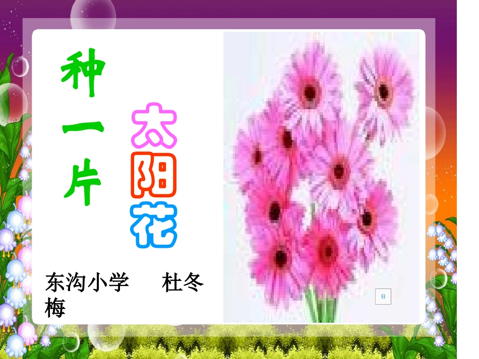 四年级语文《种一片太阳花课件》_第2页