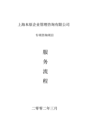 专项咨询项目服务流程