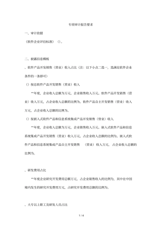 专项审计报告要求