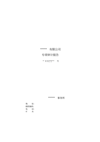 专项审计报告模板湖南