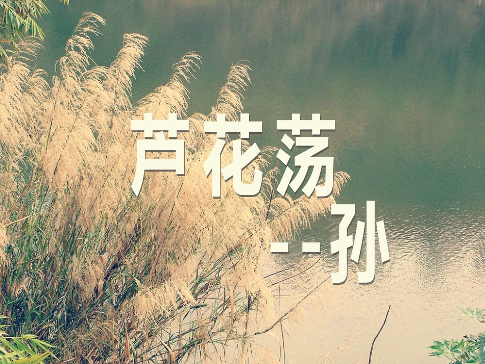 八年级语文上册《芦花荡》课件_第1页