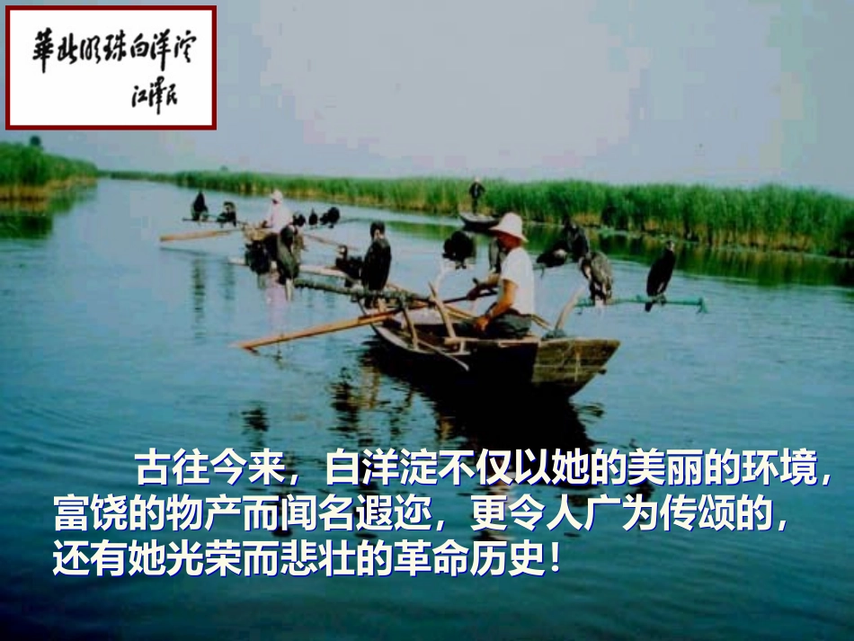 八年级语文上册《芦花荡》课件_第2页