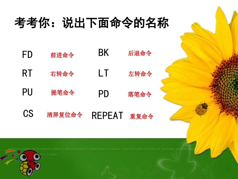 利用旋转创作图形（课件）_第2页