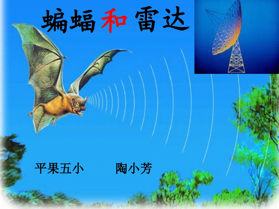 人教版四年级下册《蝙蝠和雷达》课件_第1页