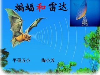 人教版四年级下册《蝙蝠和雷达》课件