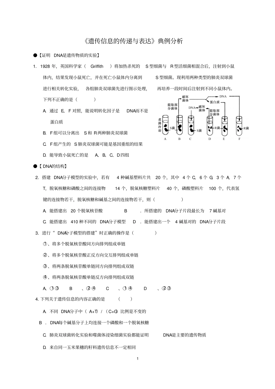 专题：遗传信息的传递与表达_第1页