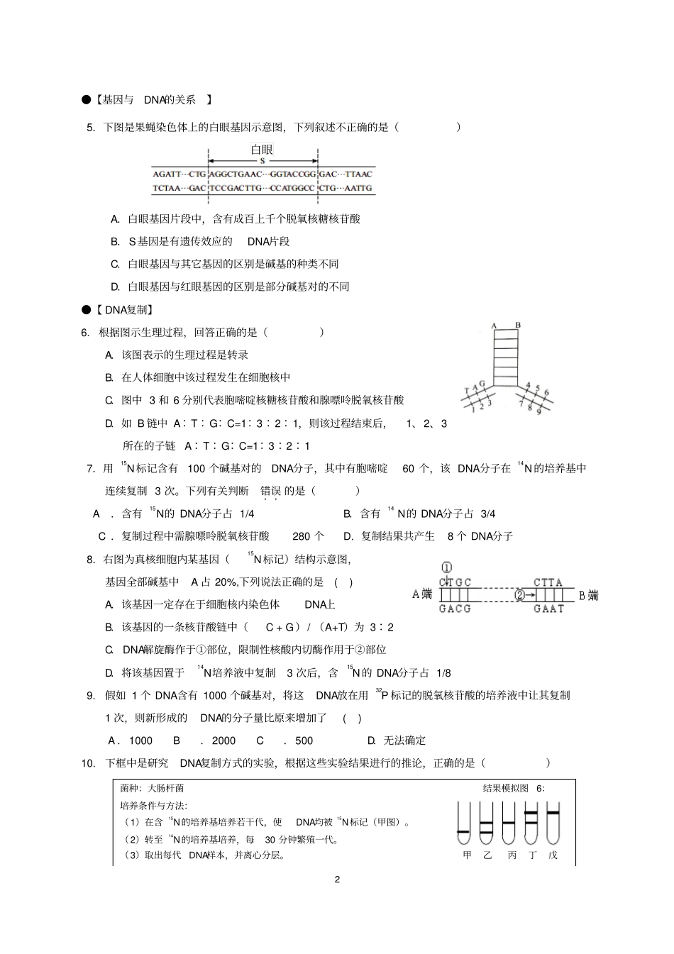 专题：遗传信息的传递与表达_第2页